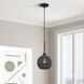 Deluna 1 Light 8 inch Black Pendant Ceiling Light, Mini Globe