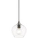 Aldrich 1 Light 8 inch Black with Brushed Nickel Accent Pendant Ceiling Light