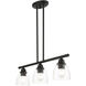 Montgomery 3 Light 30 inch Black Linear Chandelier Ceiling Light