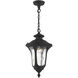 Oxford 1 Light 10 inch Textured Black Outdoor Pendant Lantern