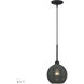 Deluna 1 Light 8 inch Black Pendant Ceiling Light, Mini Globe