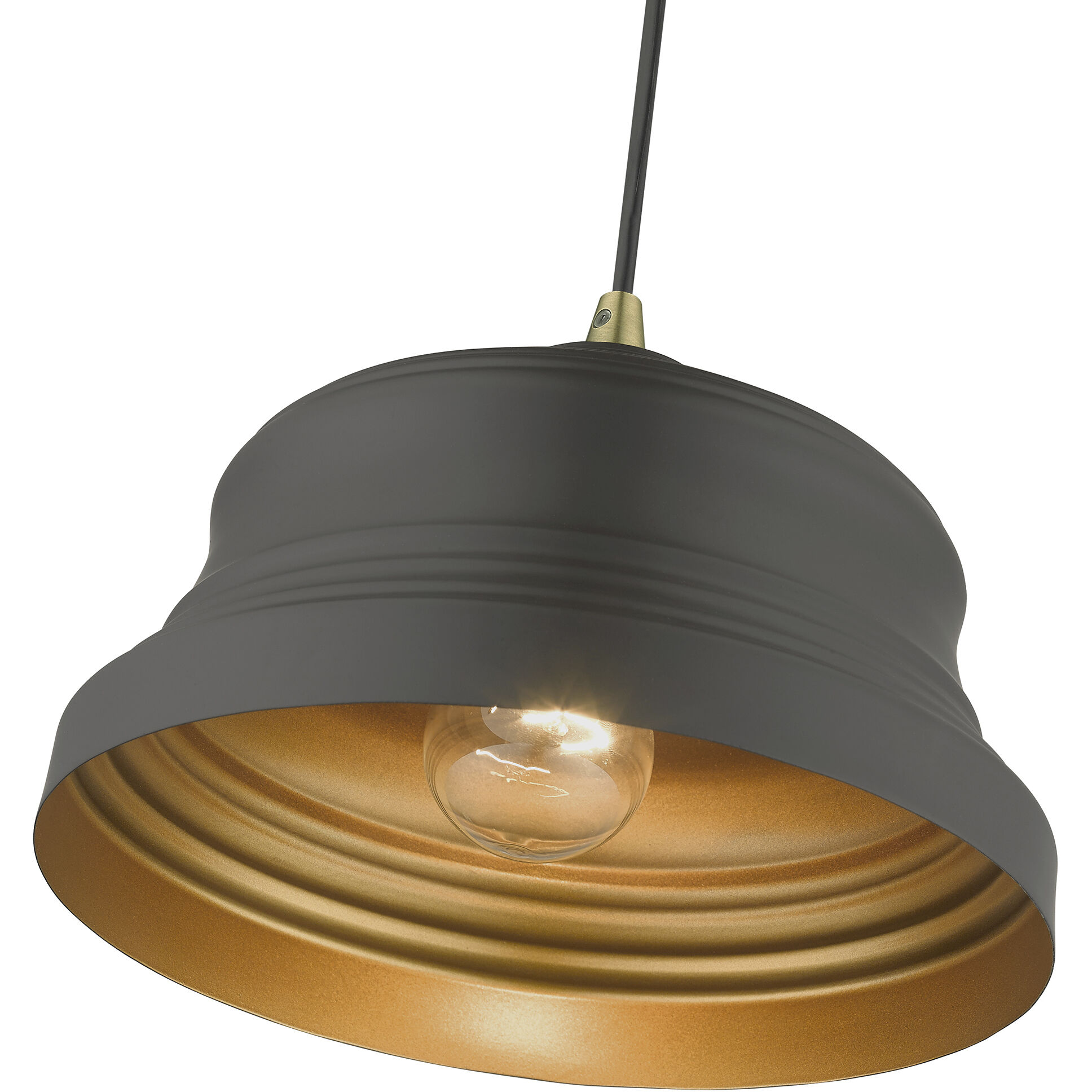 Endicott 1 Light 10 inch Bronze with Antique Brass Finish Accents Pendant Ceiling Light in Bronze with Antique Brass Accent