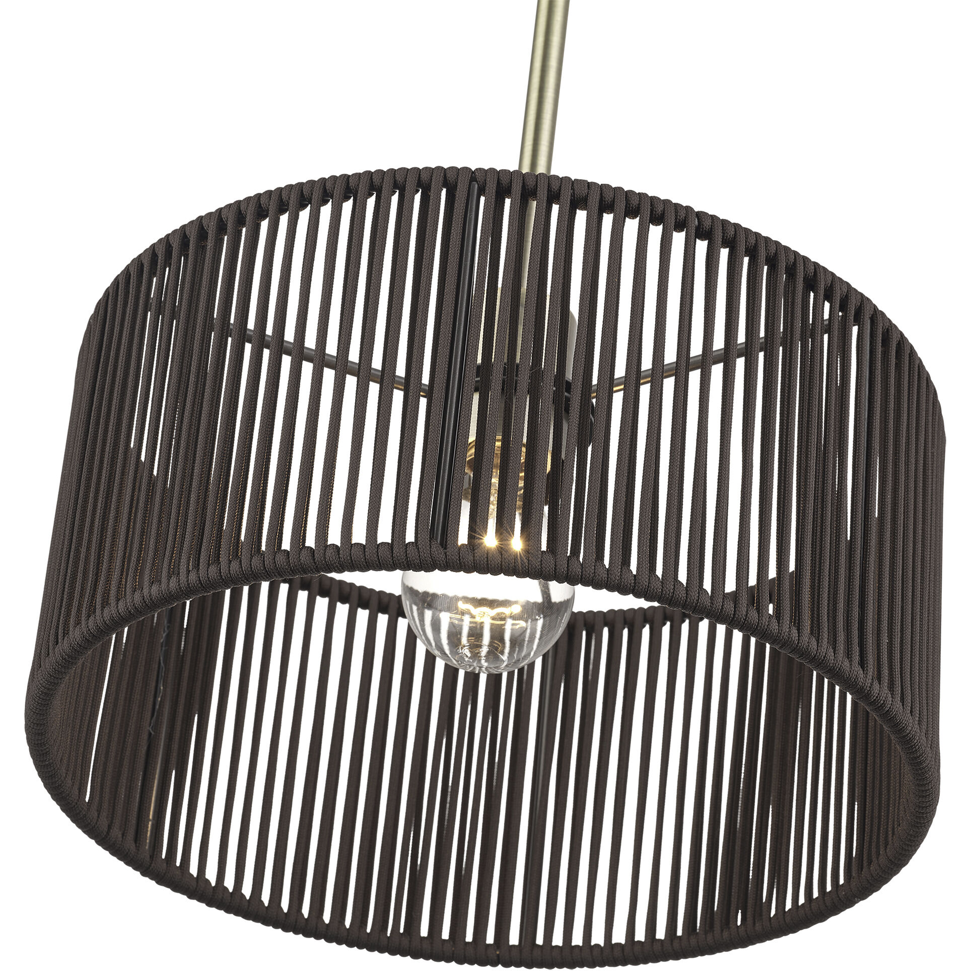 Acordia 1 Light 12 inch Antique Brass Pendant Ceiling Light