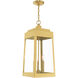 Oslo 3 Light 11 inch Satin Brass Outdoor Pendant Lantern