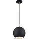 Kuppola 9.25 inch Black with Brushed Nickel Accents Globe Pendant Ceiling Light, Globe