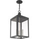 Nyack 3 Light 11 inch Scandinavian Gray Outdoor Pendant Lantern