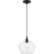 Aldrich 1 Light 10 inch Black with Brushed Nickel Accent Pendant Ceiling Light