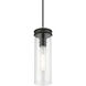Devoe 1 Light 5 inch Black with Brushed Nickel Accent Mini Pendant Ceiling Light