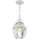 Monterey 1 Light 8.5 inch White Outdoor Pendant Lantern