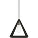 Pinnacle 1 Light 10 inch Black with Brushed Nickel Accents Pendant Ceiling Light