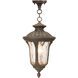 Oxford 1 Light 10 inch Imperial Bronze Outdoor Pendant Lantern