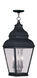 Exeter 3 Light 10 inch Black Outdoor Pendant Lantern