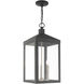 Nyack 3 Light 11 inch Scandinavian Gray Outdoor Pendant Lantern