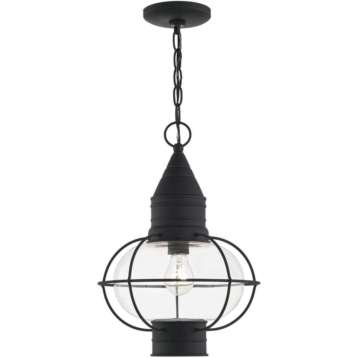 Newburyport 1 Light 12 inch Black Outdoor Pendant Lantern