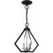 Prism 2 Light 11 inch Black with Brushed Nickel Cluster Convertible Semi Flush/Pendant Ceiling Light