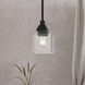 Aragon 1 Light 5 inch Black Mini Pendant Ceiling Light