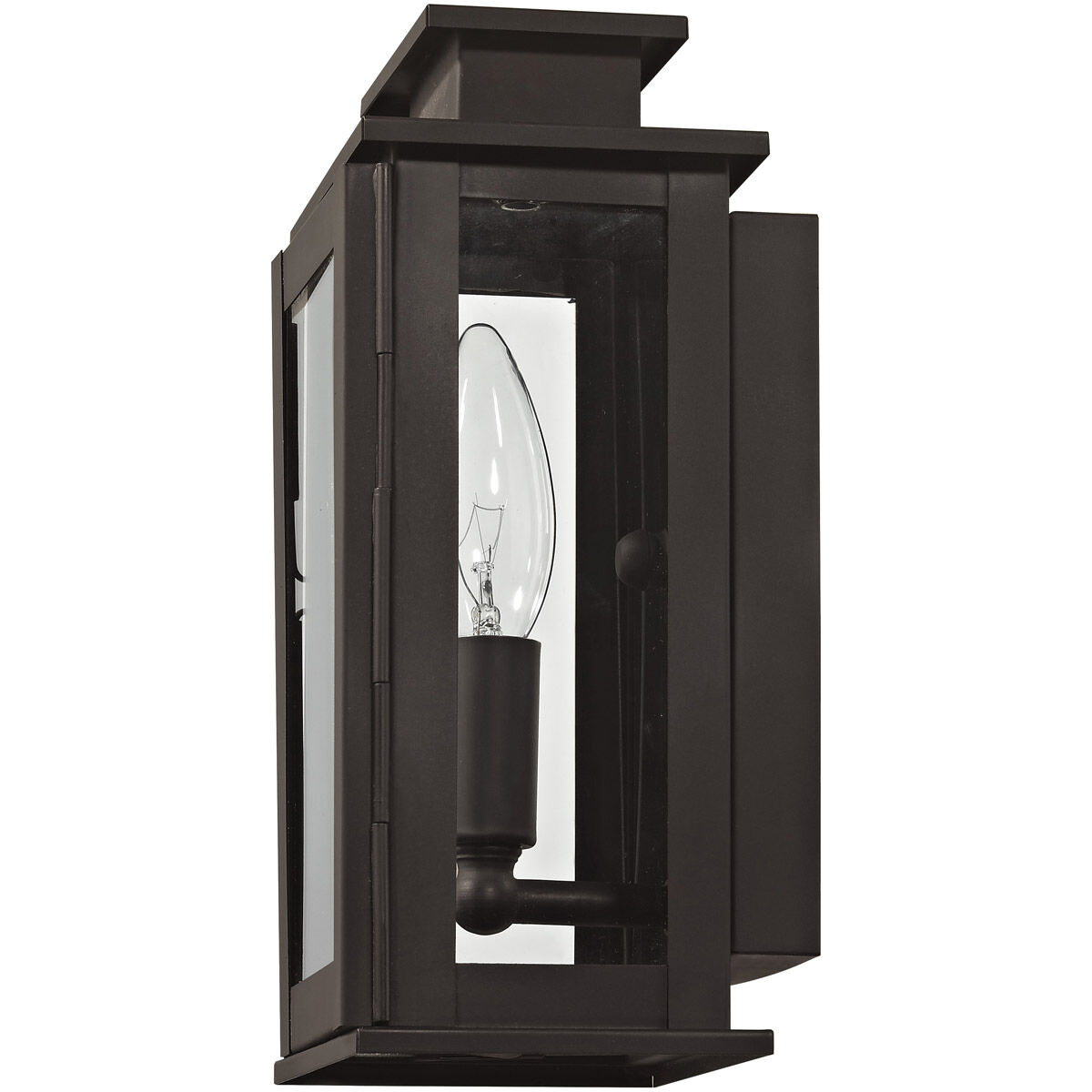 Princeton 1 Light 9 inch Bronze Outdoor Wall Lantern