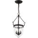 Jefferson 3 Light 10 inch Black Chain Lantern