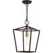 Devone 1 Light 10 inch Bronze Convertible Semi Flush/Lantern Ceiling Light