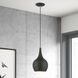 Andes 1 Light 8 inch Black with Antique Brass Accents Mini Pendant Ceiling Light
