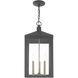 Nyack 3 Light 11 inch Scandinavian Gray Outdoor Pendant Lantern
