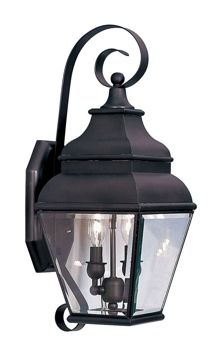 Exeter 2 Light 22 inch Bronze Outdoor Wall Lantern 