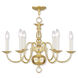 Williamsburgh 6 Light 24 inch Polished Brass Chandelier Ceiling Light