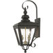 Adams 2 Light 21.5 inch Bronze with Antique Brass Finish Cluster Outdoor Wall Lantern in Bronze with Antique Brass Accent, Medium