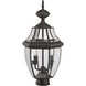 Monterey 2 Light 22 inch Bronze Outdoor Post Top Lantern