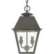 Wentworth 2 Light 9 inch Charcoal Outdoor Pendant Lantern, Medium