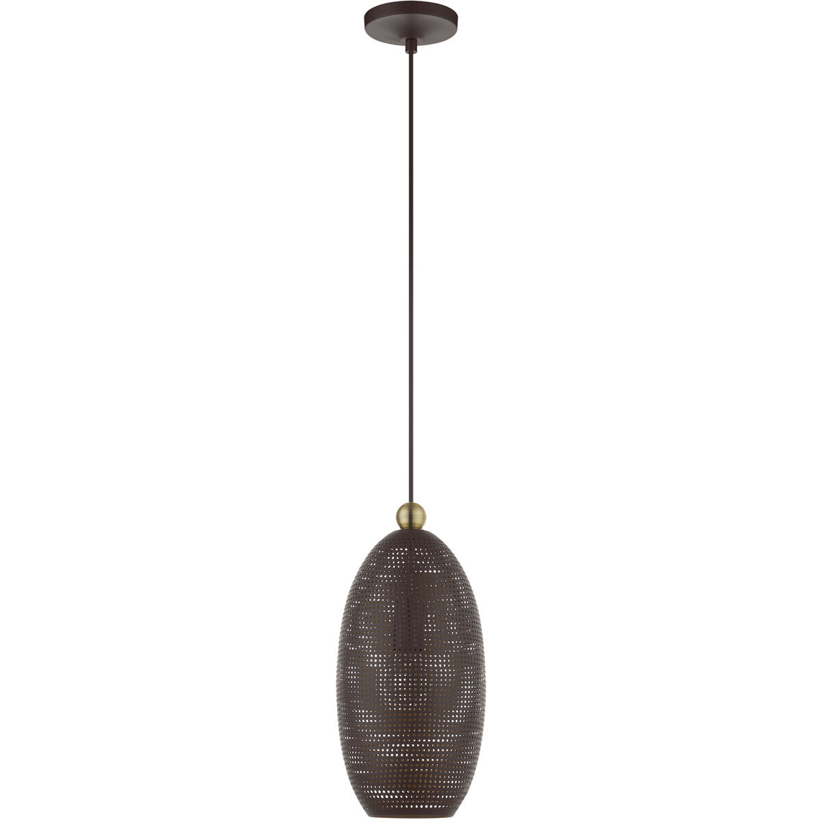 Dublin 1 Light 7 inch Bronze with Antique Brass Accents Pendant Ceiling Light