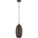 Dublin 1 Light 7 inch Bronze with Antique Brass Accents Pendant Ceiling Light