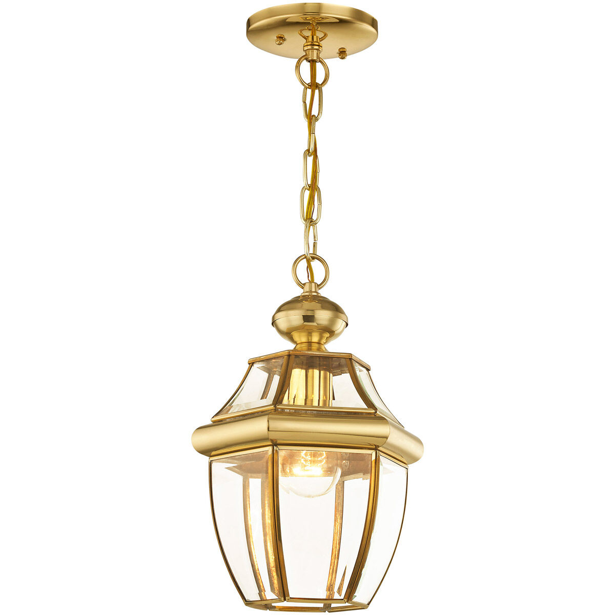 Monterey 1 Light 8.5 inch Polished Brass Outdoor Pendant Lantern