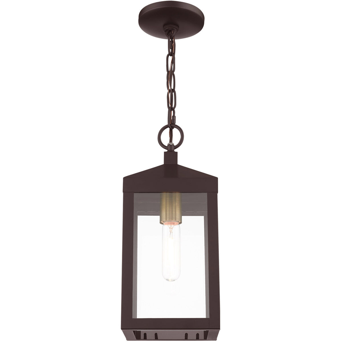 Nyack 1 Light 6 inch Bronze with Antique Brass Cluser Outdoor Pendant Lantern