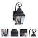 Exeter 2 Light 21.5 inch Bronze Outdoor Wall Lantern