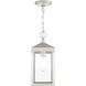 Nyack 1 Light 6 inch Brushed Nickel Outdoor Pendant Lantern