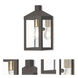 Nyack 1 Light 10.5 inch Bronze with Antique Brass Finish Cluster and Polished Chrome Stainless Steel Reflector Mini Outdoor Wall Lantern
