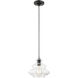 Everett 1 Light 9 inch Shiny Black with Chrome Finish Accents Pendant Ceiling Light