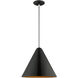 Allison 1 Light 14 inch Shiny Black Mini Pendant Ceiling Light