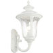 Oxford 1 Light 19 inch Textured White Outdoor Wall Lantern