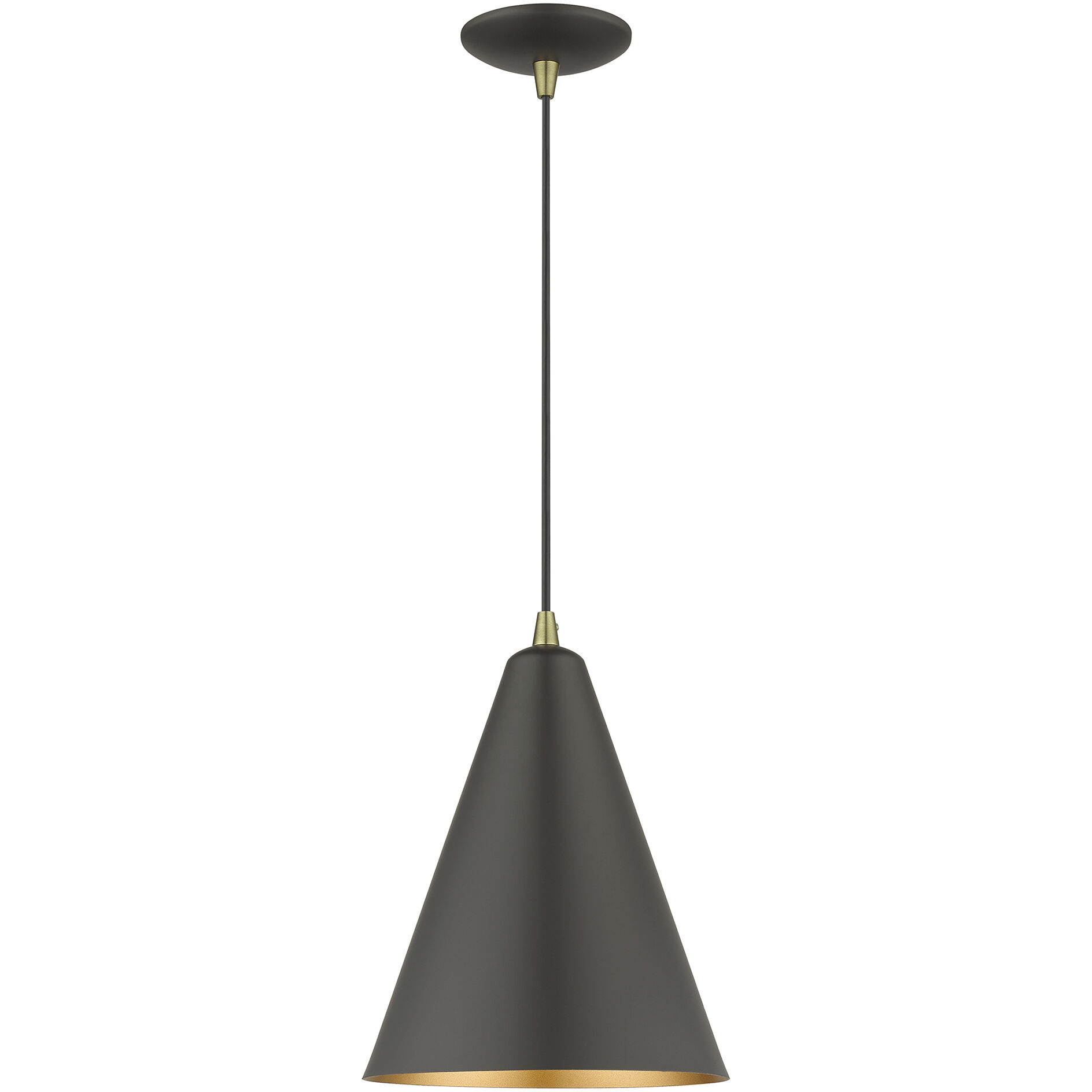 Dulce 1 Light 10 inch Bronze with Antique Brass Accents Pendant Ceiling Light in Bronze & Brushed Nickel