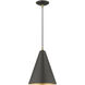 Dulce 1 Light 10 inch Bronze with Antique Brass Accents Pendant Ceiling Light in Bronze & Brushed Nickel