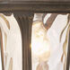 Oxford 1 Light 9.5 inch Imperial Bronze Outdoor Pendant Lantern