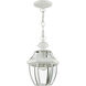 Monterey 1 Light 8.5 inch White Outdoor Pendant Lantern