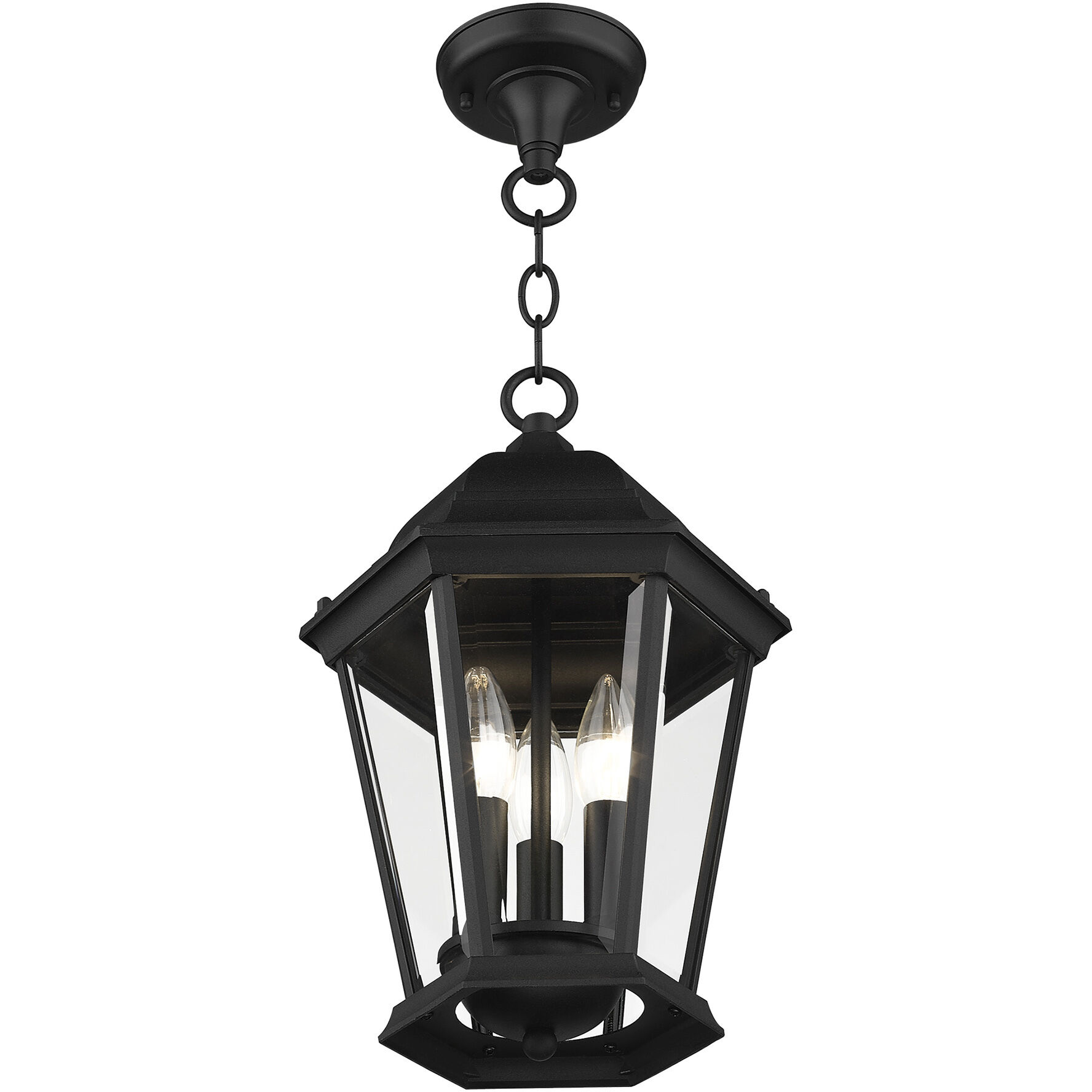 Hamilton 3 Light 10 inch Textured Black Outdoor Pendant Lantern