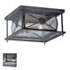 Providence 2 Light 10 inch Charcoal Outdoor Ceiling Mount