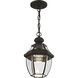 Monterey 1 Light 9 inch Black Outdoor Pendant Lantern 