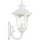Oxford 1 Light 19 inch Textured White Outdoor Wall Lantern