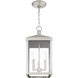 Nyack 3 Light 8.25 inch Brushed Nickel Outdoor Pendant Lantern