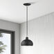 Domma 1 Light 8 inch Black with Brushed Nickel Accents Mini Pendant Ceiling Light